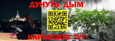 молекула духа Нальчик