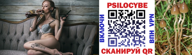 цена   Ялуторовск  ОМГ ОМГ сайт  Псилоцибиновые грибы GOLDEN TEACHER 