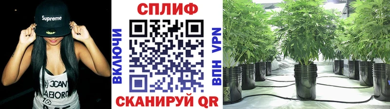 Канабис планчик  даркнет клад  Ялуторовск  купить наркотик  kraken рабочий сайт 